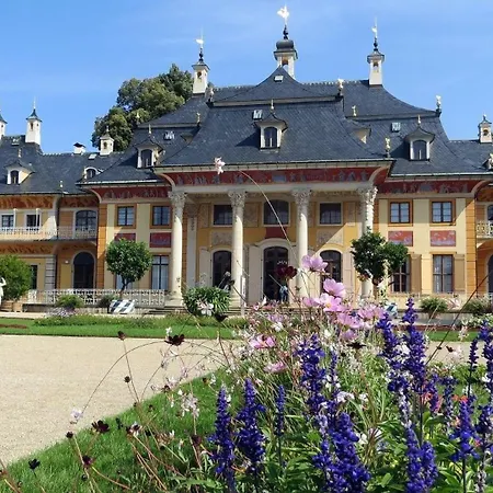 Magnolie In Bei Pulsnitz * Steina (Saxony)