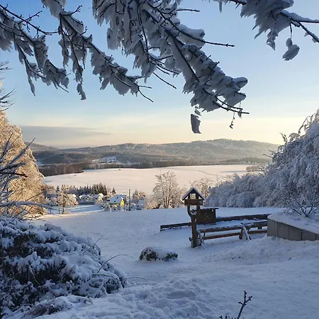Magnolie In Bei Pulsnitz