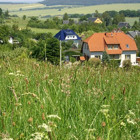 Magnolie In Bei Pulsnitz *